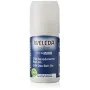 Deodorant Weleda For Men 50 ml by Weleda, Deodorants & Anti-Perspirants - Ref: S05125188, Price: 11,13 €, Discount: %