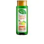 Shampoing Purifiant Naturvital Eco Citron Gingembre (300 ml) de Naturvital, Shampooings - Réf : S0594522, Prix : 6,24 €, Remi...