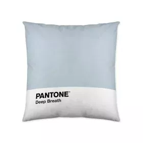 Funda de cojín Deep Breath Pantone 63836304 50 x 50 cm de Pantone, Fundas - Ref: S2805285, Precio: 6,88 €, Descuento: %