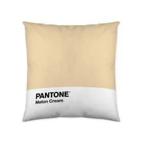 Fodera per cuscino Melon Cream Pantone 63836415 50 x 50 cm di Pantone, Copricuscini e federe - Rif: S2805286, Prezzo: 6,88 €,...