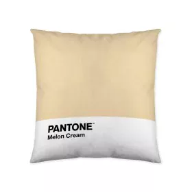 Housse de coussin Melon Cream Pantone 63836415 50 x 50 cm de Pantone, Housses de coussin - Réf : S2805286, Prix : 6,20 €, Rem...