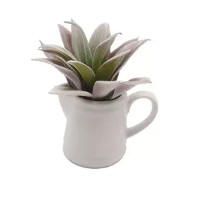 Decorative Plant Versa Ceramic Plastic 11,43 x 11,94 x 11,43 cm by Versa, Artificial Plants - Ref: S3411002, Price: 7,66 €, D...