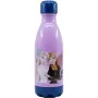 Water bottle Frozen CZ11267 Daily use 560 ml Plastic by Frozen, Water bottles - Ref: S37114575, Price: 6,46 €, Discount: %