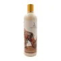 Lotion corporelle Shakira (473 ml) de BigBuy Beauty, Hydratants - Réf : S4246929, Prix : 4,79 €, Remise : %