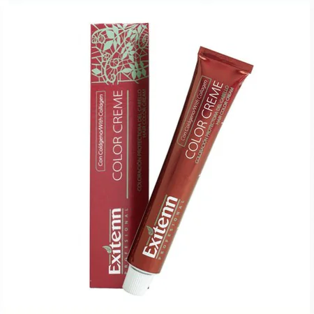 Permanent Dye Color Creme Exitenn (60 ml) by Exitenn, Permanent Colour - Ref: S4257640, Price: 5,89 €, Discount: %