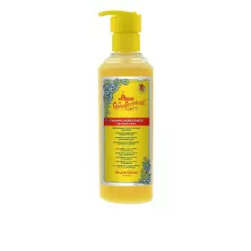 Shampoo Idratante Alvarez Gomez Agua de Colonia Concentrada Rinfrescante (290 ml) di Alvarez Gomez, Shampoo - Rif: S4514027, ...