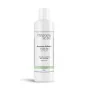 Feuchtigkeitsspendendes Shampoo Christophe Robin Aloe Vera (250 ml) von Christophe Robin, Shampoos - Ref: S4514711, Preis: 23...