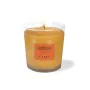 Vela Perfumada Label Groselha Sândalo 220 g de Label, Velas - Ref: S4516703, Preço: 34,98 €, Desconto: %