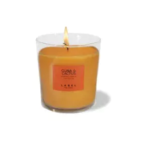 Bougie Parfumée Label Goyave Cactus 220 g de Label, Voiles libres - Réf : S4516704, Prix : 32,79 €, Remise : %