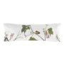 Kissenbezug HappyFriday Blooming Bunt 45 x 110 cm von HappyFriday, Bettlaken und Kissenbezüge - Ref: D1610173, Preis: 12,34 €...