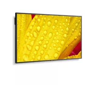 Écran NEC 60005048 43" 4K Ultra HD LED 43" IPS 50-60 Hz de NEC, Ecrans PC - Réf : S55008988, Prix : 753,50 €, Remise : %