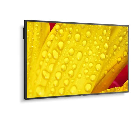 Écran NEC 60005048 43" 4K Ultra HD LED 43" IPS 50-60 Hz de NEC, Ecrans PC - Réf : S55008988, Prix : 753,50 €, Remise : %