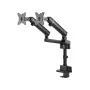 Screen Table Support V7 DMPRO2DTA-3N Black by V7, Monitor Arms & Stands - Ref: S55019519, Price: 118,99 €, Discount: %