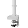 Supporto da Tavolo per Schermo Ergotron 45-490-216 Bianco 34" di Ergotron, Supporti - Rif: S55021595, Prezzo: 208,30 €, Scont...