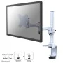 Suporte TV Neomounts FPMA-D1330WHITE  10-30" 9 kg de Neomounts, Mesas e suportes para TV - Ref: S55024728, Preço: 100,32 €, D...