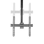 Soporte TV Neomounts NM-C440BLACK   32-60" 50 kg de Neomounts, Mesas y soportes para TV - Ref: S55024839, Precio: 125,61 €, D...