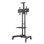 Support réglable Neomounts NM-M1700BLACK 32" 75" Portable de Neomounts, Supports et rehausseurs d'écran - Réf : S55024912, Pr...