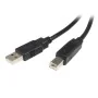 Câble USB A vers USB B Startech USB2HAB1M   Noir de Startech, Câbles USB - Réf : S55056836, Prix : 5,13 €, Remise : %