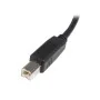 USB A to USB B Cable Startech USB2HAB2M   Black by Startech, USB Cables - Ref: S55056837, Price: 4,80 €, Discount: %