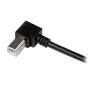 Cabo USB A para USB B Startech USBAB1MR    Preto de Startech, Cabos USB - Ref: S55057224, Preço: 7,26 €, Desconto: %