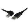 Cable USB A a USB B Startech USBAB3ML    Negro de Startech, Cables USB - Ref: S55057268, Precio: 8,22 €, Descuento: %