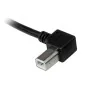 Câble USB A vers USB B Startech USBAB3ML    Noir de Startech, Câbles USB - Réf : S55057268, Prix : 8,22 €, Remise : %