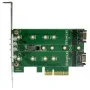 Placa PCI SSD M.2 Startech PEXM2SAT32N1 de Startech, Cartões de portas - Ref: S55057876, Preço: 50,55 €, Desconto: %