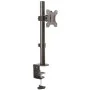 Screen Table Support Startech ARMPIVOTV2 by Startech, Monitor Arms & Stands - Ref: S55058046, Price: 80,49 €, Discount: %