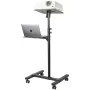 Notebook Stand Startech ADJPROJCART by Startech, Accessories for projectors - Ref: S55122813, Price: 88,33 €, Discount: %