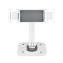 Tablet Mount Startech ADJ-TABLET-STAND-W White by Startech, Stands - Ref: S55171711, Price: 49,03 €, Discount: %