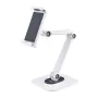 Soporte para Tablet Startech ADJ-TABLET-STAND-W Blanco de Startech, Soportes - Ref: S55171711, Precio: 49,03 €, Descuento: %