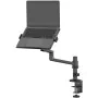 Halterung für Laptop, eBook und iPad Neomounts DS20-425BL1 17,3" 11,6" von Neomounts, Monitorständer & -arme - Ref: S55249981...