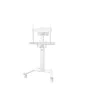 Soporte TV Neomounts AV2-500WH de Neomounts, Brazos y soportes - Ref: S55267837, Precio: 96,07 €, Descuento: %