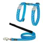 Harnais pour chat Red Dingo Style Turquoise Étoile Blanc Sangle de Red Dingo, Harnais - Réf : S6100100, Prix : 17,32 €, Remis...