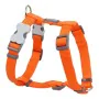 Harnais pour Chien Red Dingo Lisse 25-39 cm Orange de Red Dingo, Harnais - Réf : S6100107, Prix : 9,79 €, Remise : %