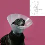 Elizabethan Dog Collar KVP Betsy Transparent (33-41 cm) by KVP, Collars and recovery cones - Ref: S6100127, Price: 4,80 €, Di...