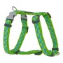 Arnês para Cães Red Dingo Style Turquesa Estrela Verde 46-76 cm de Red Dingo, Arneses - Ref: S6100191, Preço: 22,37 €, Descon...