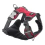 Arnês para Cães Red Dingo Acolchoado Vermelho Tamanho XS de Red Dingo, Arneses - Ref: S6100192, Preço: 26,05 €, Desconto: %