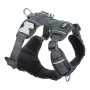 Dog Harness Red Dingo Padded Grey S by Red Dingo, Harnesses - Ref: S6100195, Price: 27,49 €, Discount: %