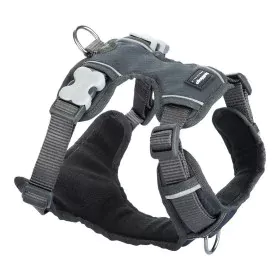 Dog Harness Red Dingo Padded L Grey by Red Dingo, Harnesses - Ref: S6100201, Price: 35,05 €, Discount: %