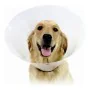 Elizabethan Dog Collar KVP Check Transparent (22-27 cm) by KVP, Collars and recovery cones - Ref: S6100235, Price: 4,89 €, Di...