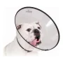 Colar Isabelino para Cães KVP Saf-T-Clear Transparente (17-30 cm) de KVP, Coleiras e cones de recuperação - Ref: S6100241, Pr...