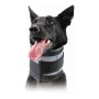 Cervical Collar for Dogs KVP Black (6-28 cm) by KVP, Collars and recovery cones - Ref: S6100272, Price: 17,15 €, Discount: %