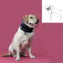 Cervical Collar for Dogs KVP Black (6-28 cm) by KVP, Collars and recovery cones - Ref: S6100272, Price: 17,15 €, Discount: %