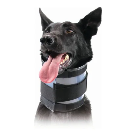 Cervical Collar for Dogs KVP Black (20-64 cm) by KVP, Collars and recovery cones - Ref: S6100279, Price: 31,23 €, Discount: %