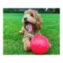 Jouet pour chien Company of Animals Boomer Bleu (200mm) de Company of Animals, Balles - Réf : S6100559, Prix : 19,95 €, Remis...