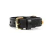 Collar para Perro Gloria Duna Negro Dorado (55 x 2.5 cm) de Gloria, Collares - Ref: S6100660, Precio: 12,20 €, Descuento: %