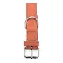 Dog collar Gloria Oasis Red (1,5 x 40 cm) by Gloria, Collars - Ref: S6100684, Price: 6,67 €, Discount: %