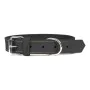 Dog collar Gloria Oasis Black (45 x 1,8 cm) by Gloria, Collars - Ref: S6100693, Price: 6,86 €, Discount: %