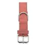 Dog collar Gloria Oasis Pink (50 x 2,1 cm) by Gloria, Collars - Ref: S6100702, Price: 7,41 €, Discount: %